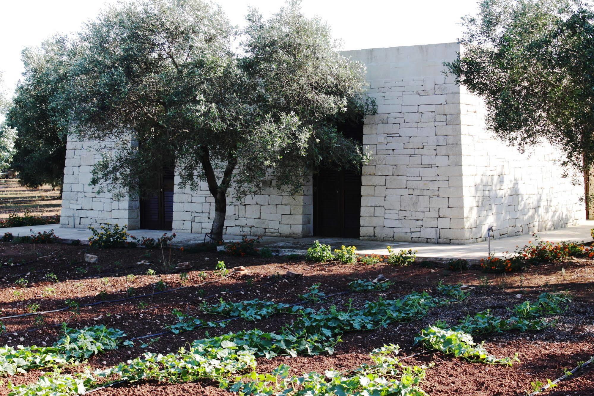 Tenuta Pigliano Hotel Bagnolo del Salento Exterior photo